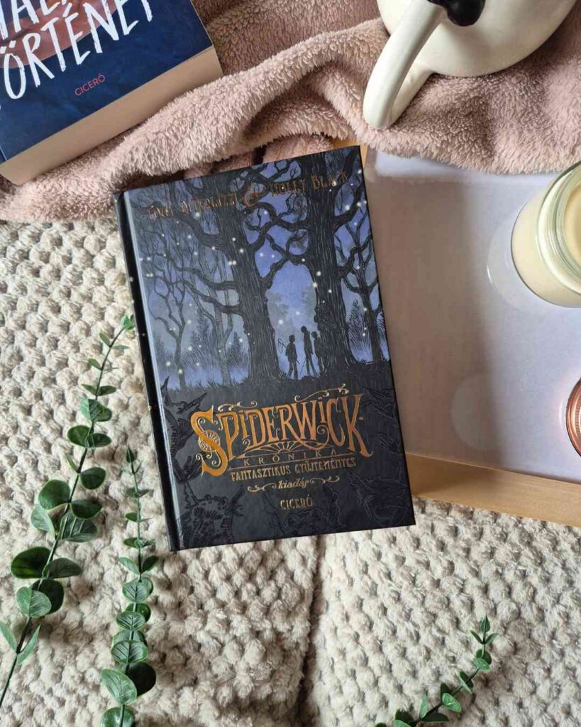 Tony DiTerlizzi- Holly Black: Spiderwick krónika 1 106