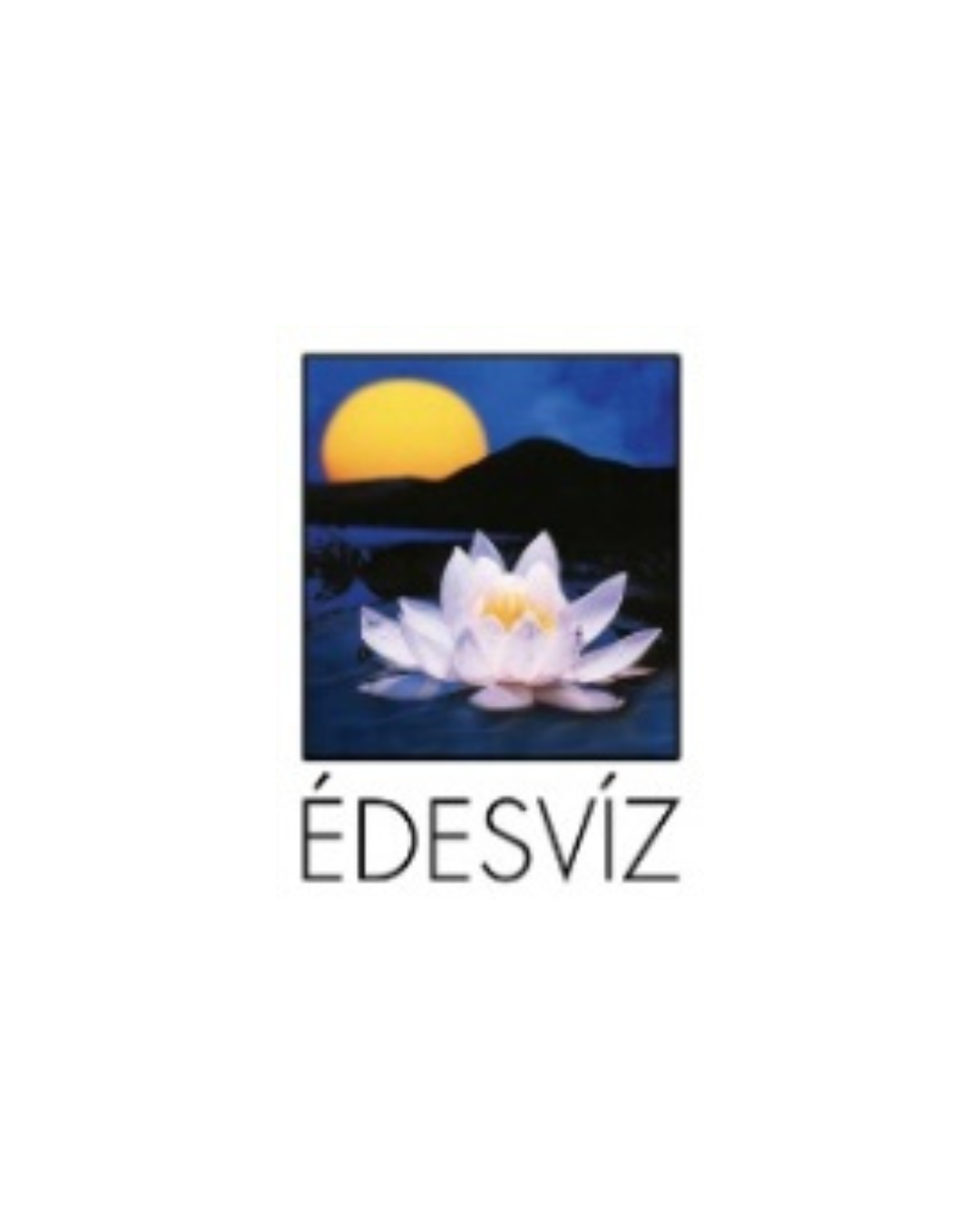 Ajánlott Kiadók 21 Ajánlott Kiadók – 34