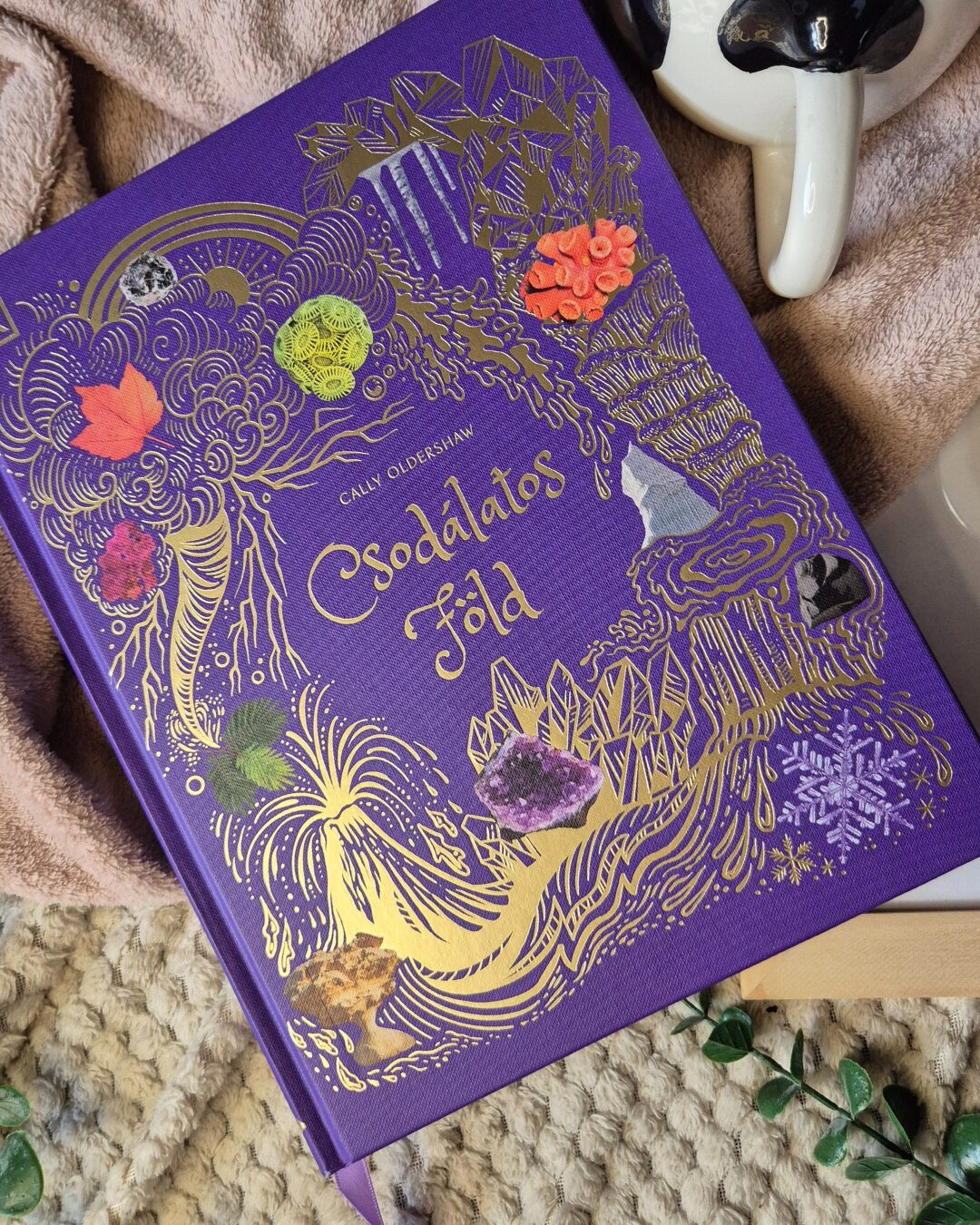 Cally Oldershaw Csodálatos ​Föld – Csodalatos ​Fold